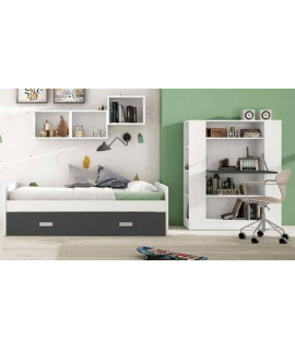 DORMITORIO JUVENIL COMPLETO MOD.DONALD+ AMB.15