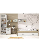 DORMITORIO JUVENIL COMPLETO MOD.DONALD+ AMB.17