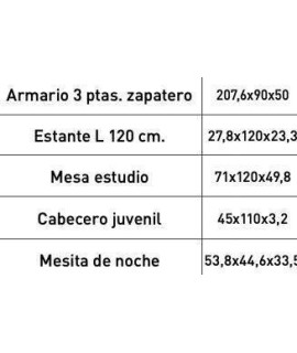 DORMITORIO JUVENIL C/ARMARIO MOD.DONALD+ AMB.01
