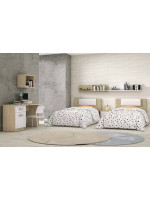 DORMITORIO JUVENIL COMPLETO MOD.DONALD+ AMB.03