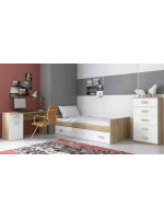 DORMITORIO SIN ARMARIO MOD.CHAMPION AMBIENTE 06