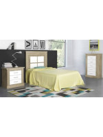 DORMITORIO JUVENIL MOD.CHELLEN AMBIENTE 05 COLOR CAMBRIA-BLANCO