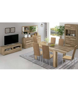 SALON COMPLETO MOD.TEXAS AMBIENTE 06