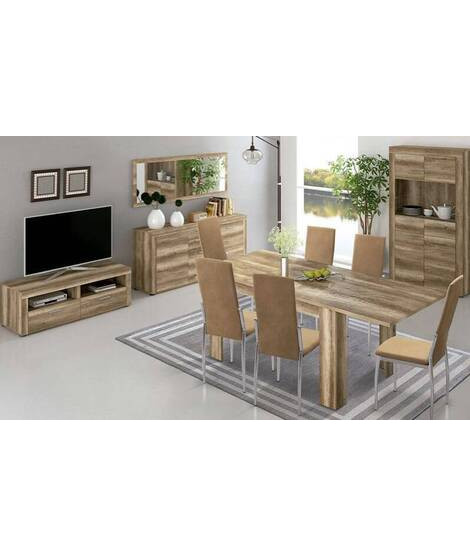 SALON COMPLETO MOD.TEXAS AMBIENTE 06