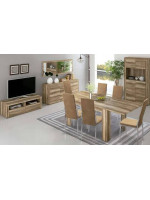 SALON COMPLETO MOD.TEXAS AMBIENTE 06