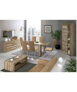 SALON COMPLETO MOD.TEXAS AMBIENTE 07