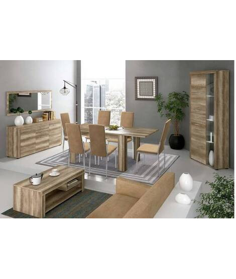 SALON COMPLETO MOD.TEXAS AMBIENTE 07