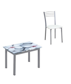 CONJUNTO MESA FLORES EXT. + 4 SILLAS 20