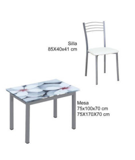 CONJUNTO MESA FLORES EXT. + 4 SILLAS 20