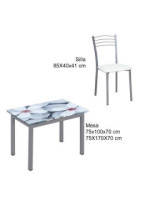 CONJUNTO MESA FLORES EXT. + 4 SILLAS 20