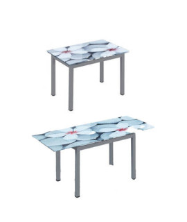 MESA COCINA EXT.T/IMPRESA MOD.FLORES GRIS
