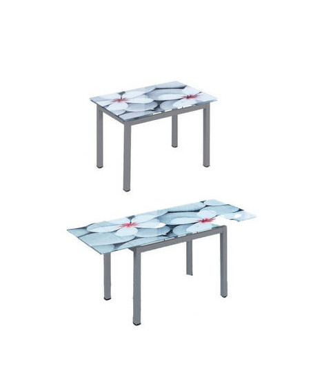 MESA COCINA EXT.T/IMPRESA MOD.FLORES GRIS