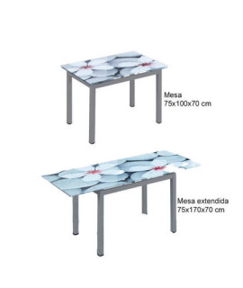 MESA COCINA EXT.T/IMPRESA MOD.FLORES GRIS