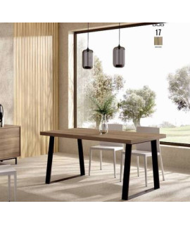 AMBIENTE SALÓN 17 DUO