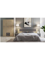 DORMITORIO MATRIMONIO C/ARM.3P MOD.DONALD AMBIENTE 02-DCOLOR PUCCINI-GRAFITO