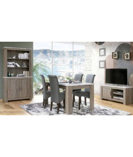 SALON COMPLETO MOD.RONCAL AMBIENTE 15 TRUFA-CAÑON