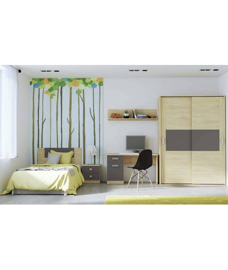 DORMITORIO CON ARMARIO MOD.DONALD AMBIENTE 4ACOLOR PUCCINI GRAFITO
