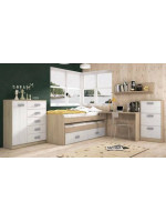 DORMITORIO JUVENIL COMPLETO MOD.DONALD+ AMB.39