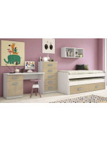 DORMITORIO JUVENIL COMPLETO MOD.DONALD+ AMB.34